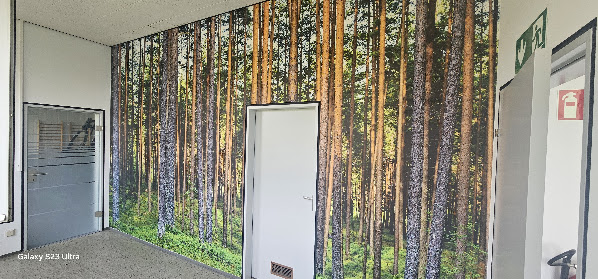 Innenraum mit vollflächiger Wald-Wandgestaltung